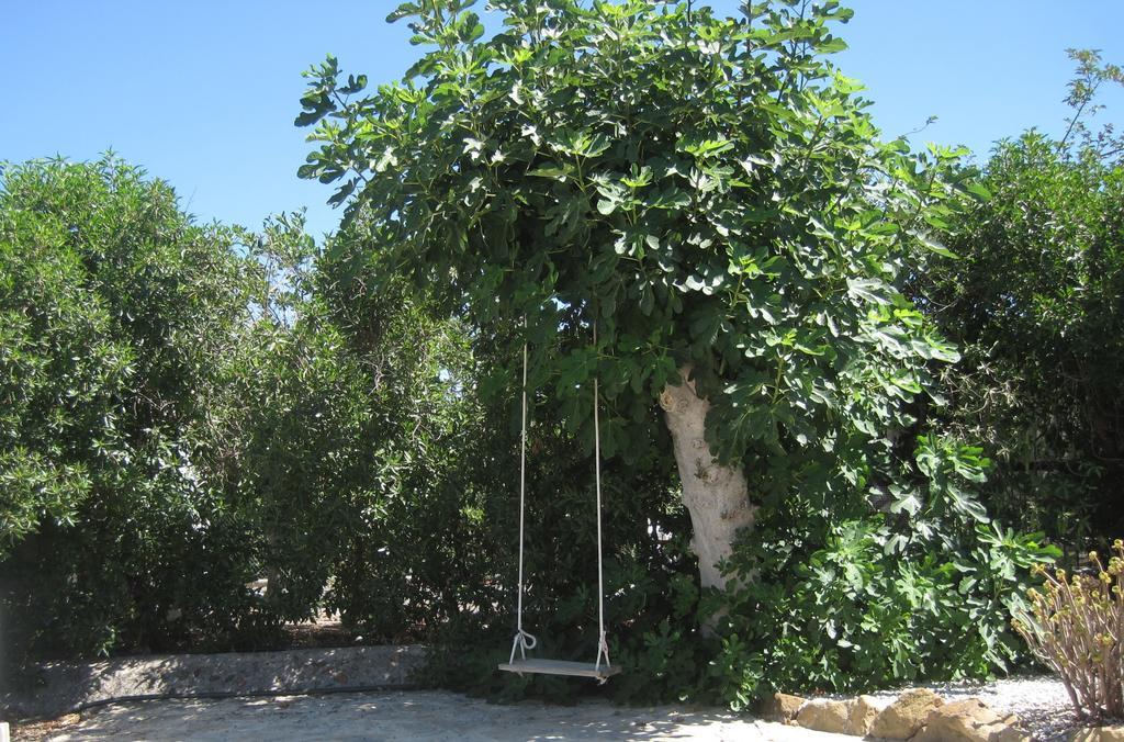 Finca Limón Pizarra Exterior foto