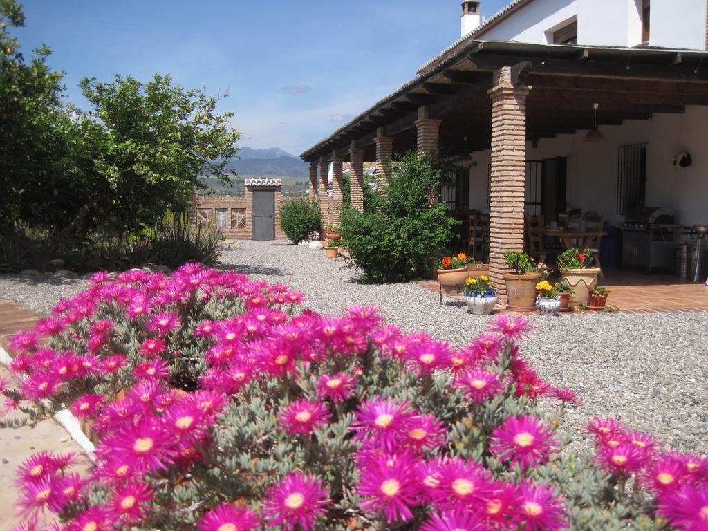 Finca Limón Pizarra Habitación foto